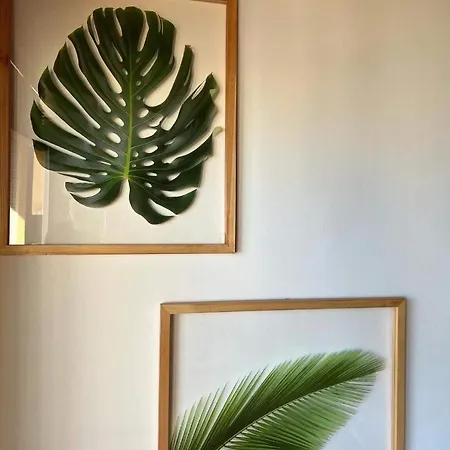 Tres Palmeiras With Pool 아파트 *