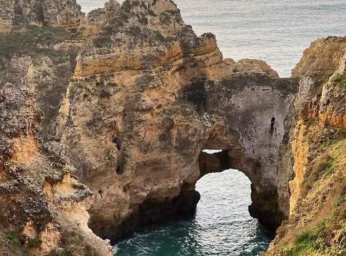 Tres Palmeiras With Pool شقة