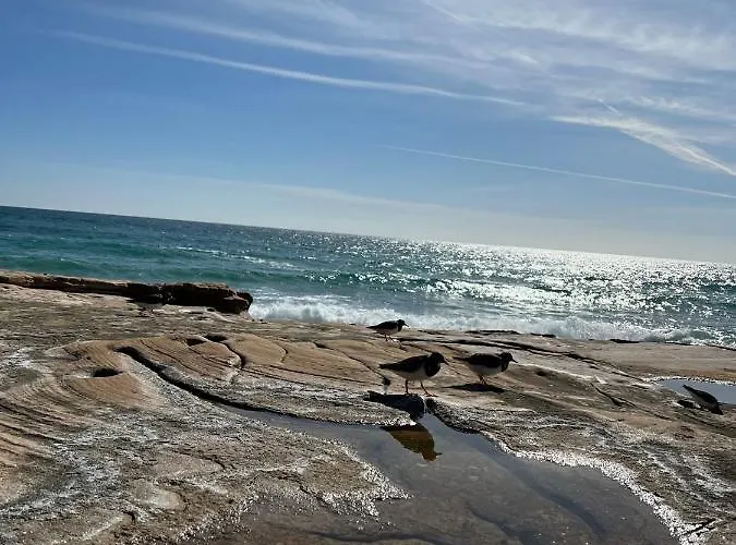 شقة Tres Palmeiras With Pool