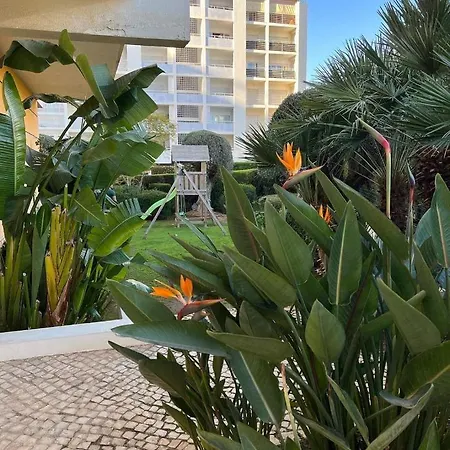 Apartamento Três Palmeiras With Pool