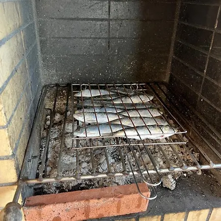 Três Palmeiras With Pool *